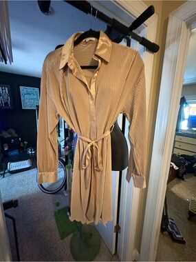 Pleated Button-Front Shirt Dress in champagne